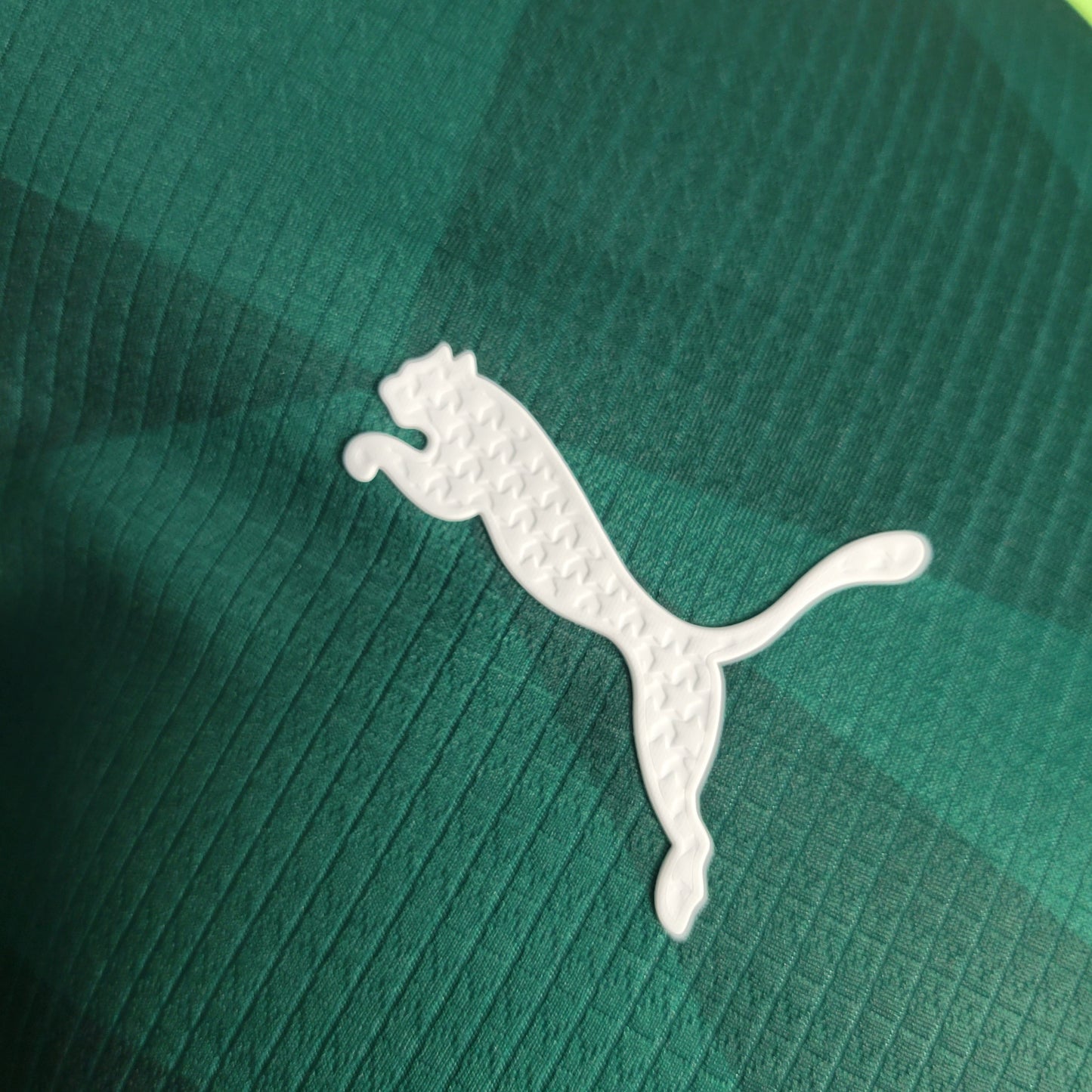 Maillot Palmeiras Domicile 2023/24 - Version Joueur