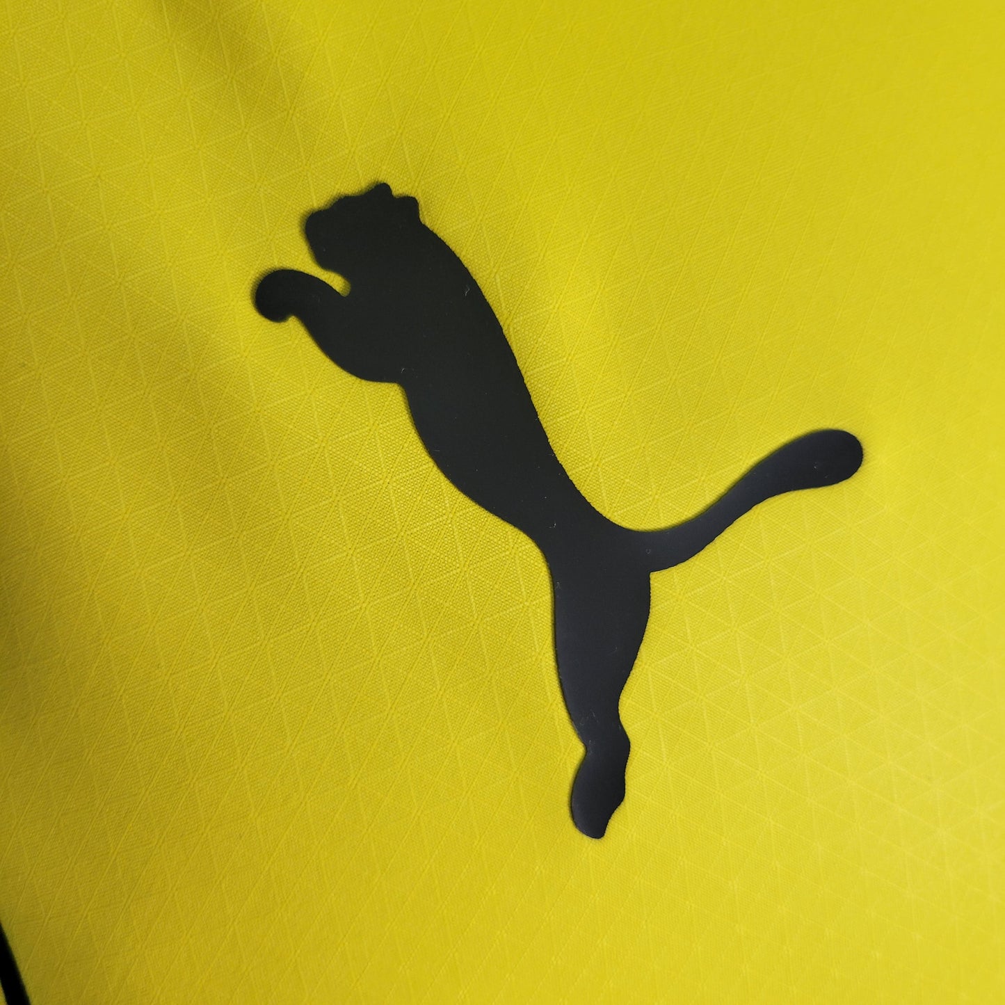 Maillot Borussia Dortmund Domicile 2023/24 - Version Joueur