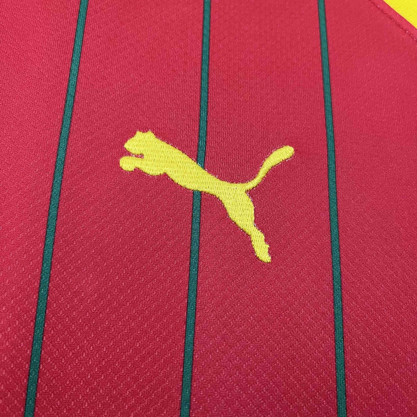 Maillot Guinée Domicile 2024/25