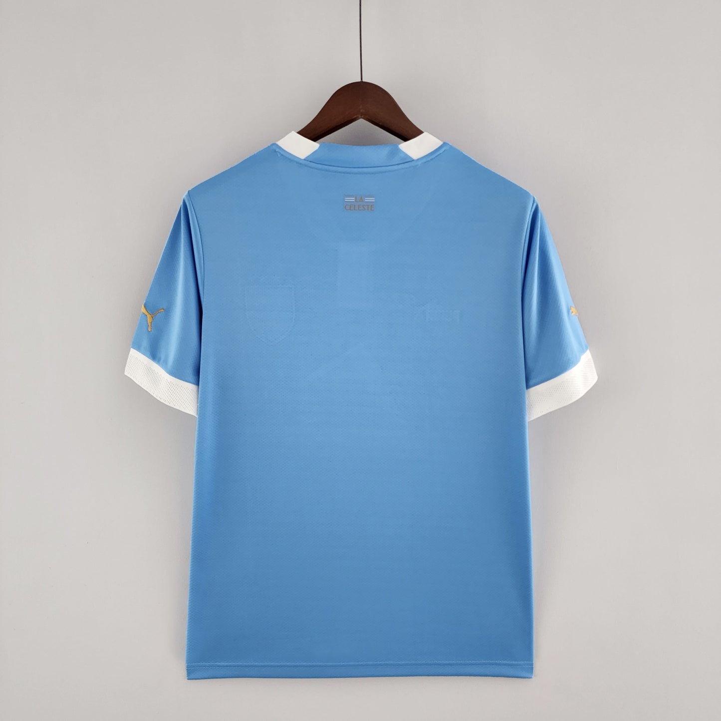 Maillot Uruguai Domicile 2022/23