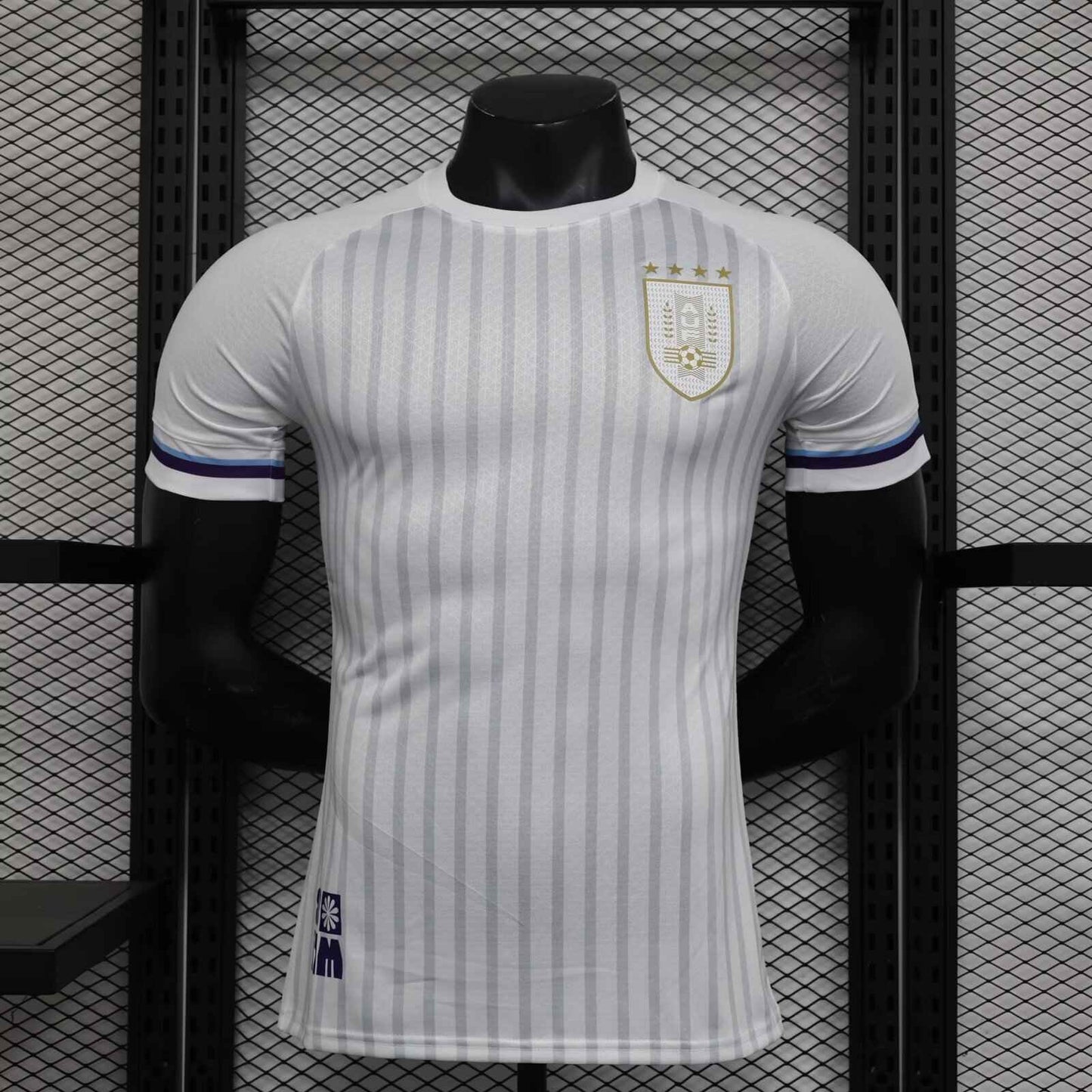 Maillot Uruguai Extérieur 2024/25 - Version Joueur