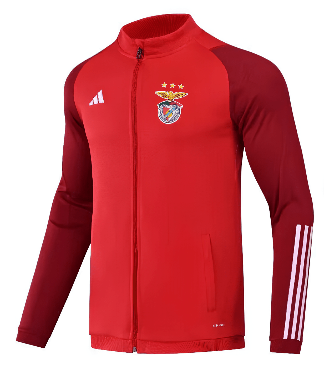 Veste d'entraînement - Benfica